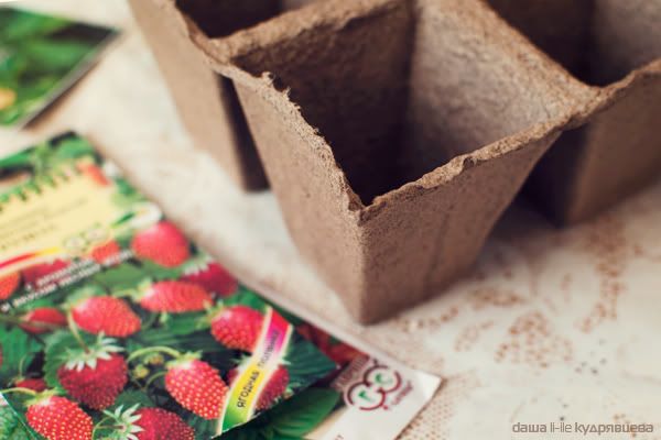 Посадила :) Photobucket