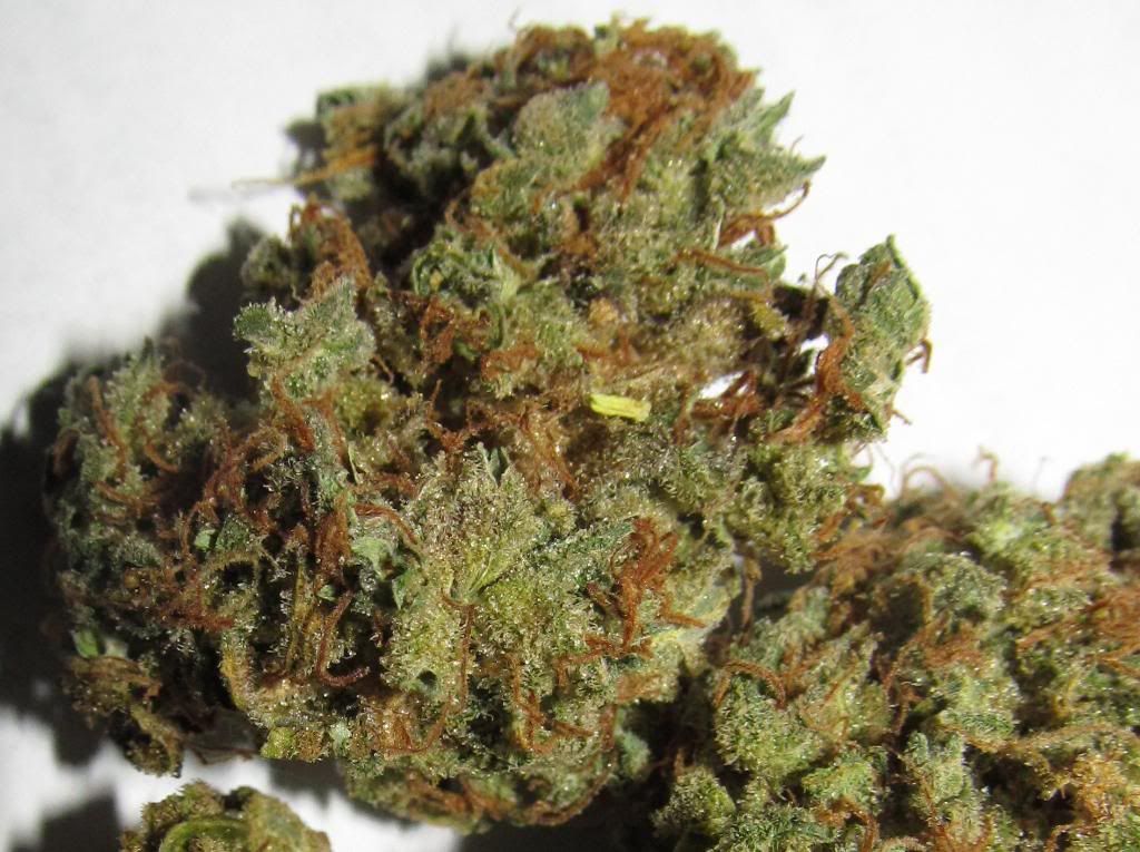 fruity kush
