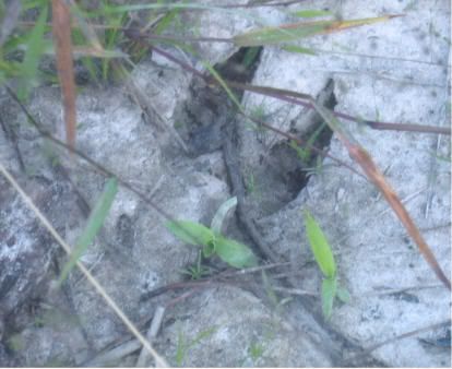 They know when you can't - The Great Outdoors