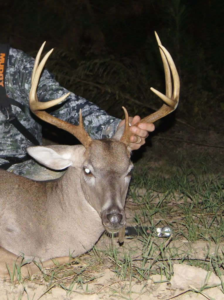 Deer Hunting Tips - The Great Outdoors