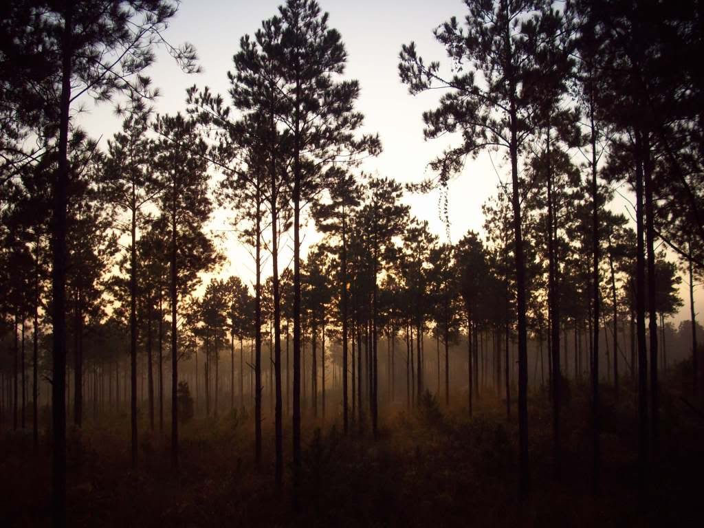 They know when you can't - The Great Outdoors