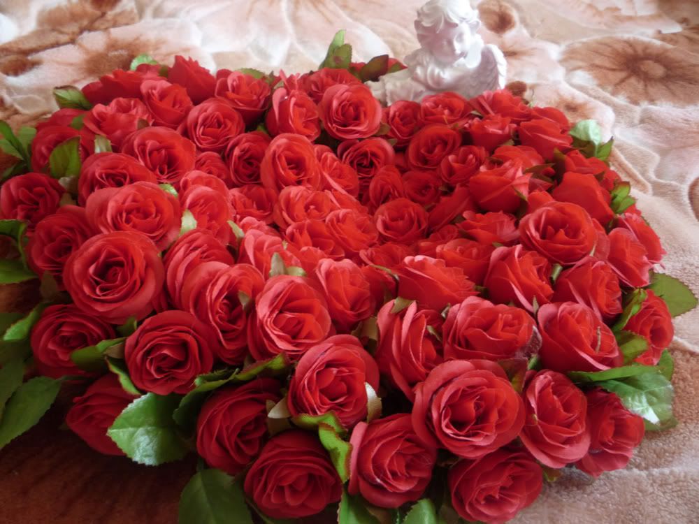 user posted image