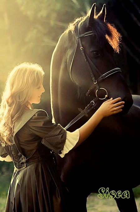  photo 130302SiscaCeKud2.jpg