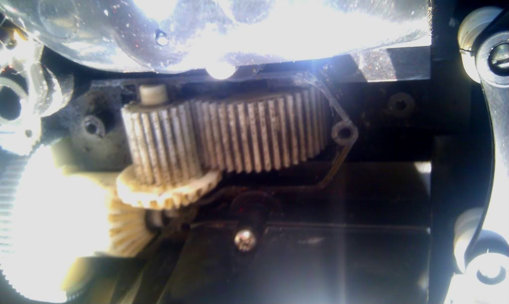 IMAG0985.jpg