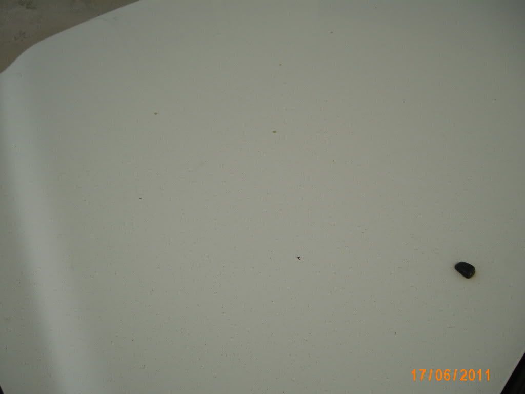 IMG_1452.jpg