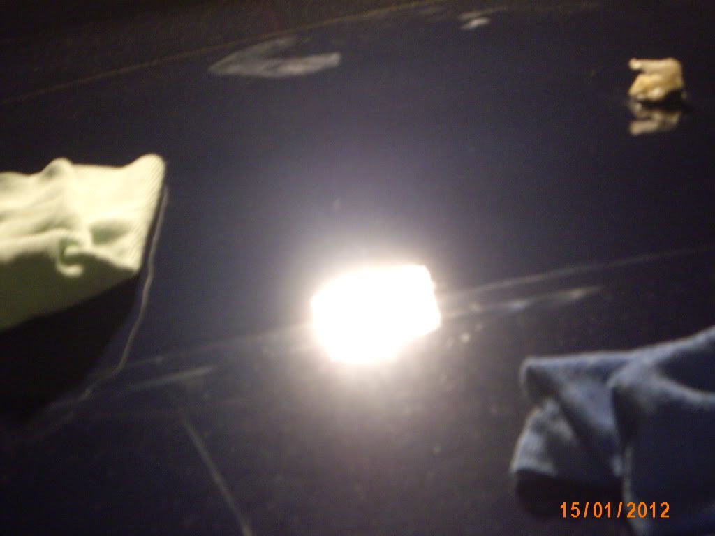 IMG_2124.jpg