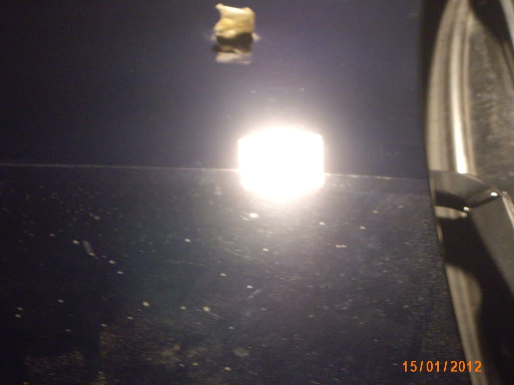 IMG_2125.jpg