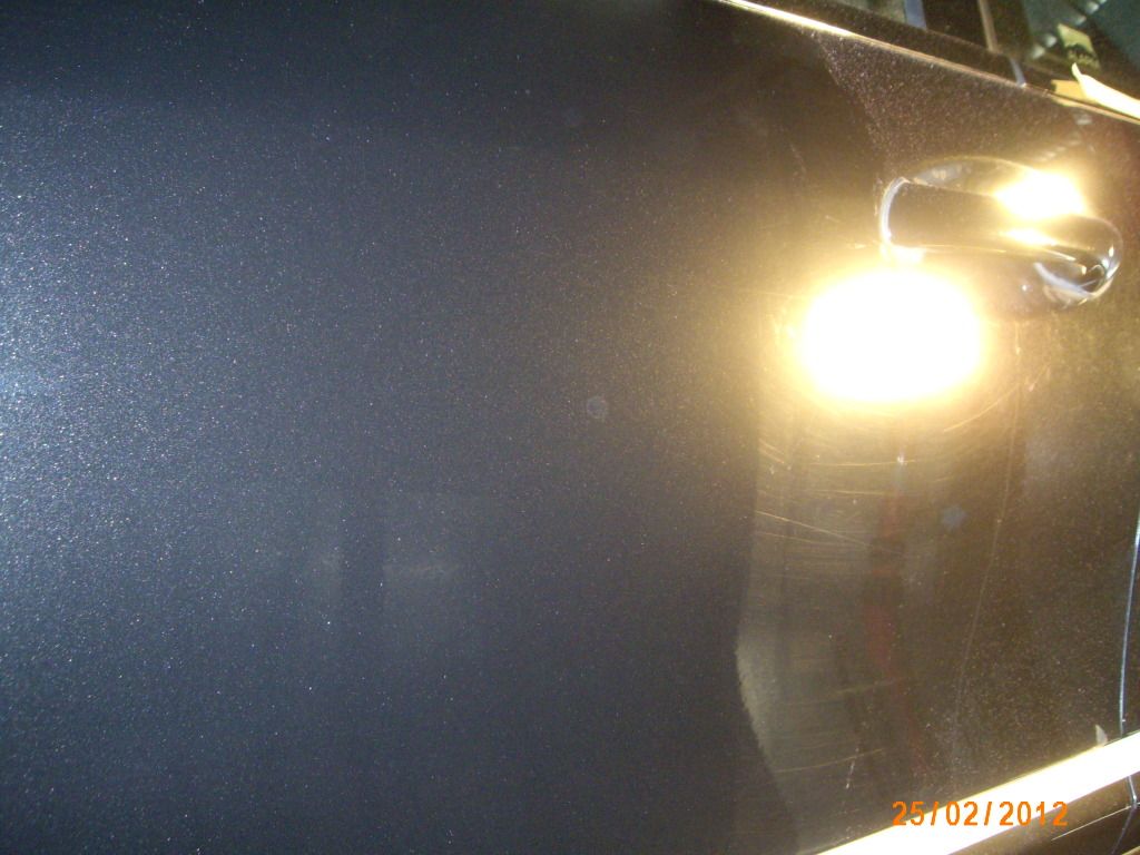 IMG_2221.jpg