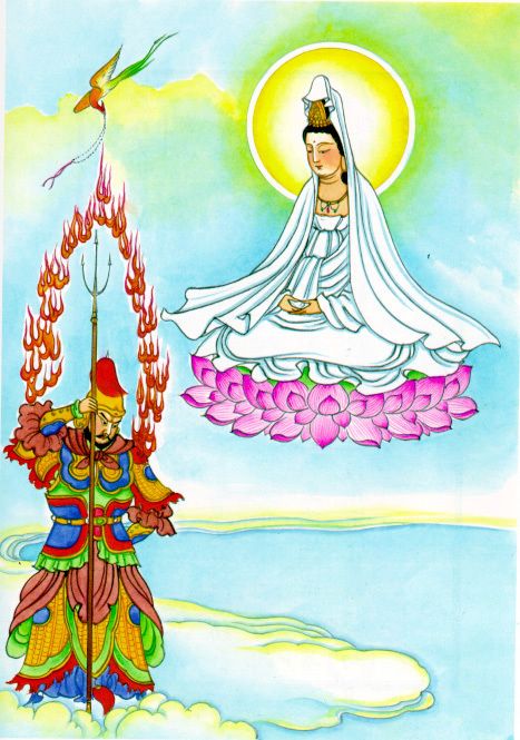 Hình ảnh