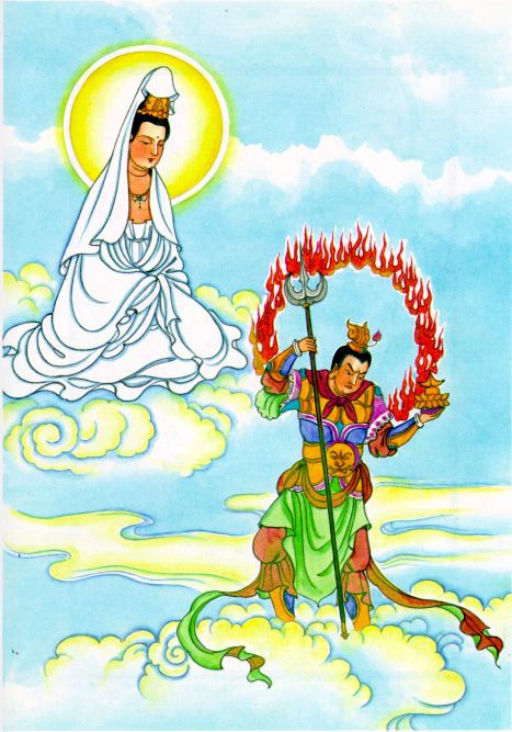 Hình ảnh