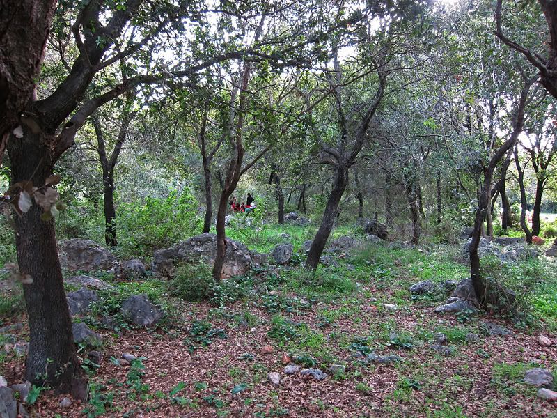 IMAGE: http://i1102.photobucket.com/albums/g451/egurevitch/IMG_0552-3-s2.jpg