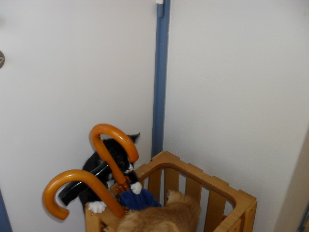 SDC10689.jpg