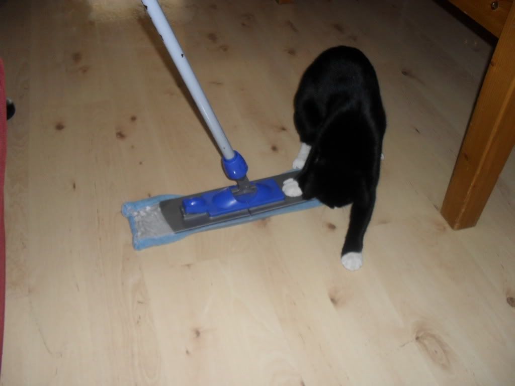 Afbeelding075.jpg