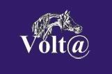 voltahorse.pl