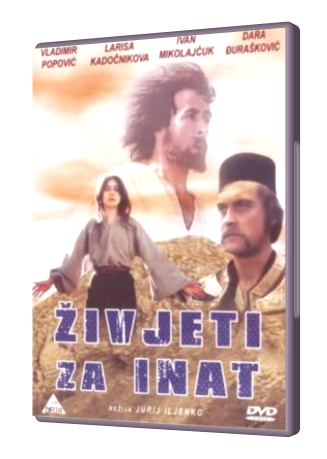 ziv000.png