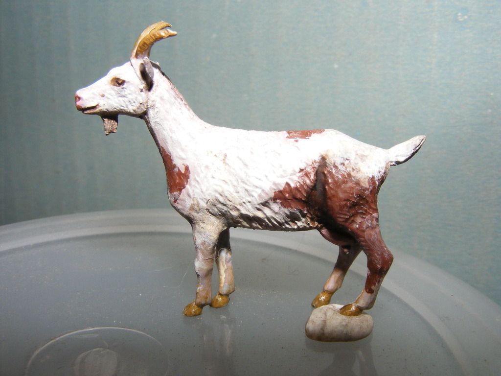 DSCF8244_zpsrxe5hfks.jpg