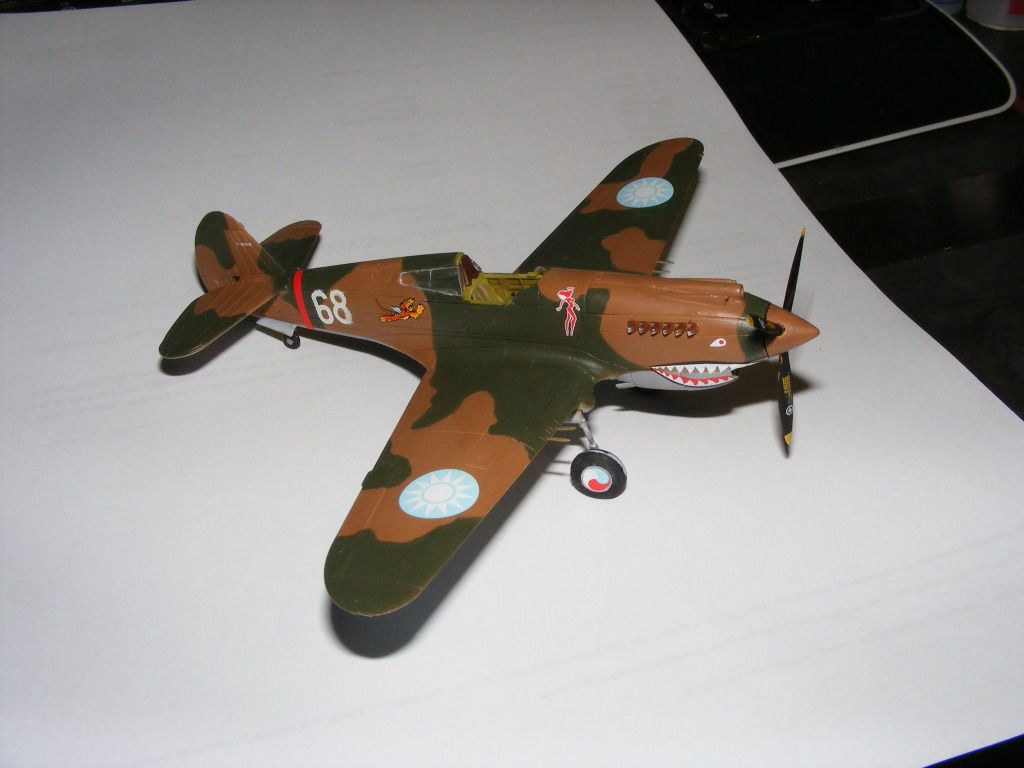 hawk011.jpg