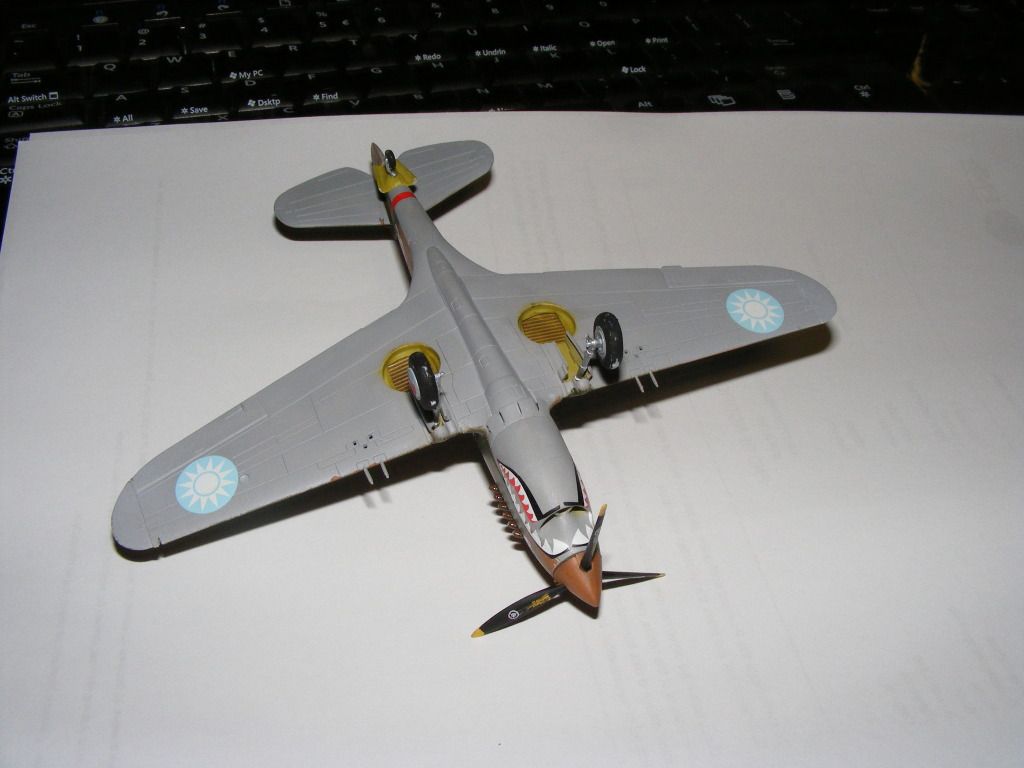 hawk013.jpg