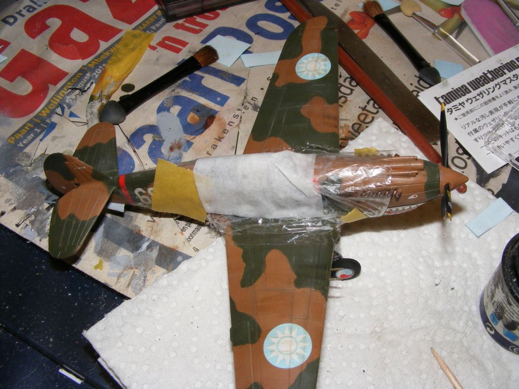 hawk014.jpg