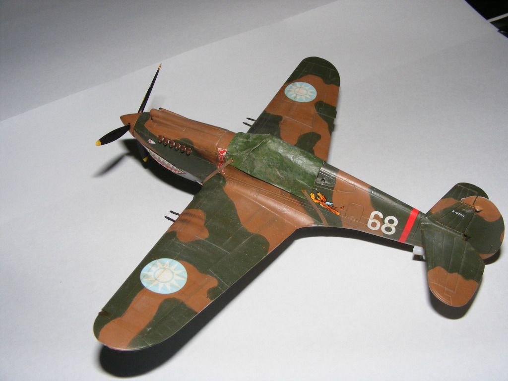hawk015.jpg