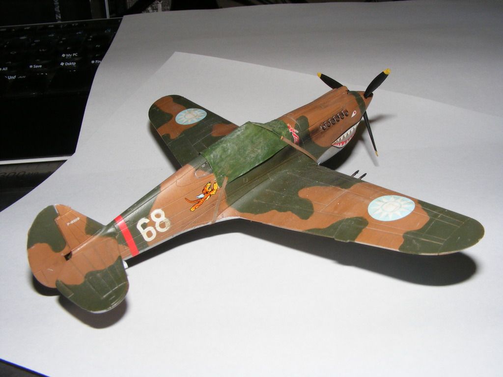 hawk016.jpg