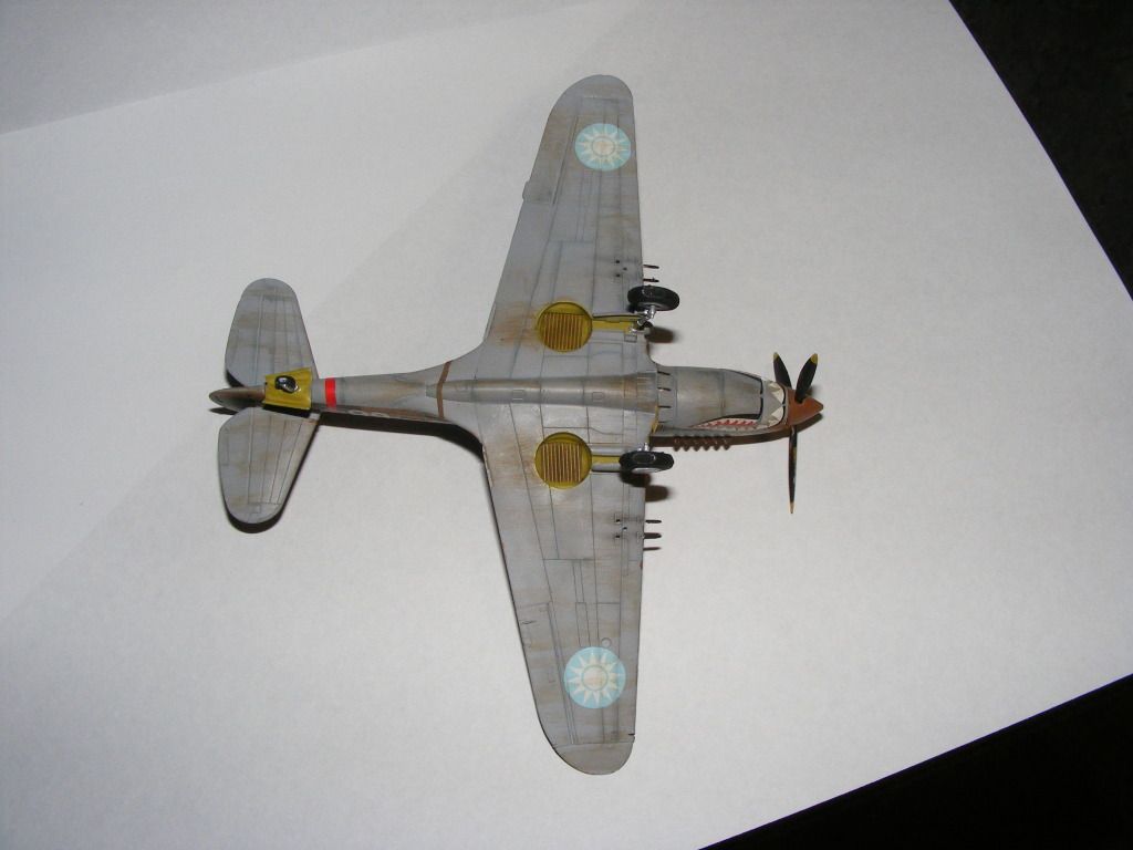 hawk017.jpg