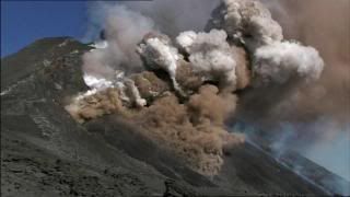 PDVD 003 21 - El Planeta Vivo BBC 2008 [20 DVD] [RS-MG-FSV-FSN.dlc]