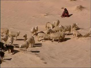 PDVD 014 43 - Mahoma (2001) [1 DVD9 + 1 DVD5]