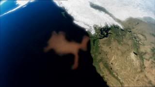 PDVD 017 6 - El Planeta Vivo BBC 2008 [20 DVD] [RS-MG-FSV-FSN.dlc]