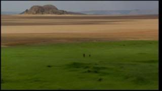 PDVD 019 8 - El Planeta Vivo BBC 2008 [20 DVD] [RS-MG-FSV-FSN.dlc]