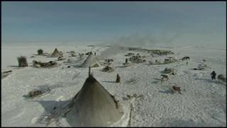 PDVD 024 6 - El Planeta Vivo BBC 2008 [20 DVD] [RS-MG-FSV-FSN.dlc]