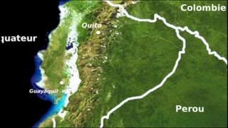 PDVD 030 4 - El Planeta Vivo BBC 2008 [20 DVD] [RS-MG-FSV-FSN.dlc]