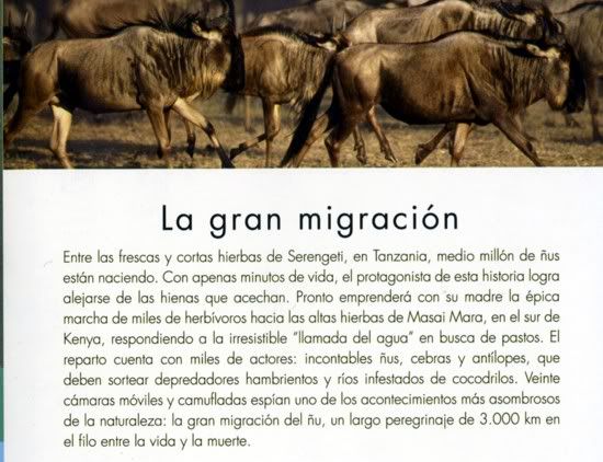 PV3A545140 - El Planeta Vivo BBC 2008 [20 DVD] [RS-MG-FSV-FSN.dlc]