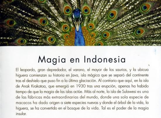 PVA6 - El Planeta Vivo BBC 2008 [20 DVD] [RS-MG-FSV-FSN.dlc]
