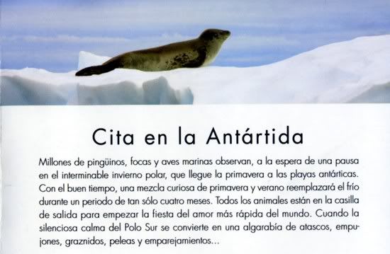 PVA8 - El Planeta Vivo BBC 2008 [20 DVD] [RS-MG-FSV-FSN.dlc]