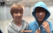 [Resim: tumblr_lvgvk3T65F1qdny6do4_250.gif]