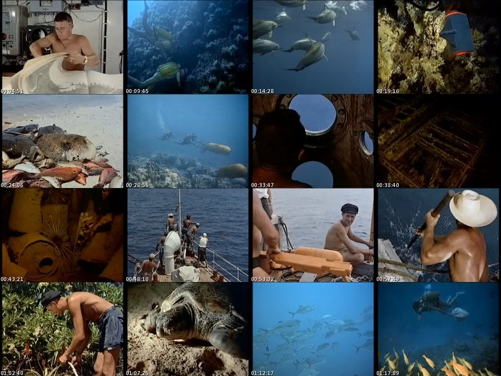 1-El20Mundo_del_Silencio_Ganadora_de_un_Oscar_Exxteban_s.jpg