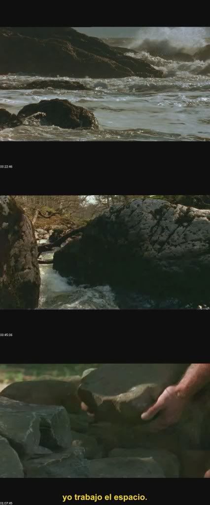 Rios_y_Mareas_-_Rivers_and_Tides-Goldsworthy-Riedelsheimer_VO_subs_spanish_Exxteban_s.jpg