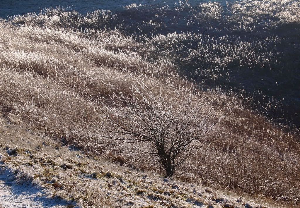 The Malvern Hills, The Malvern Hills