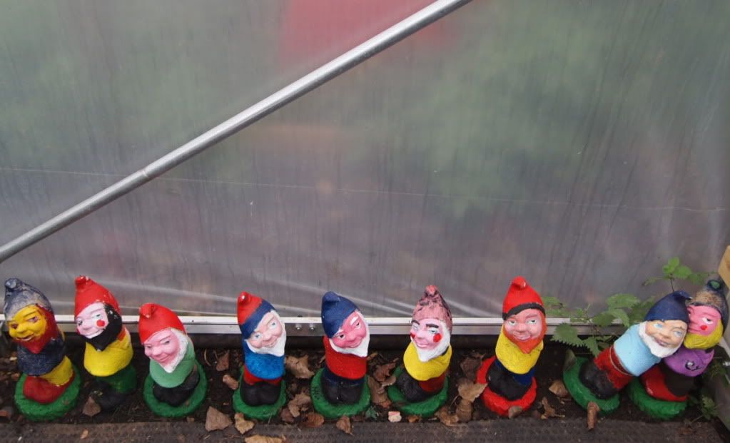 gnomes