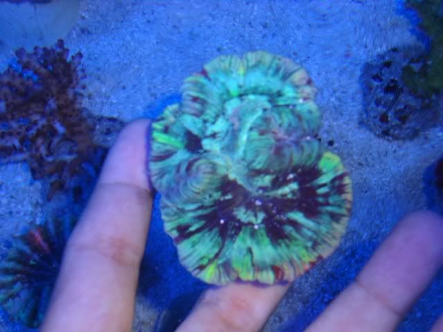 DSC01343.jpg