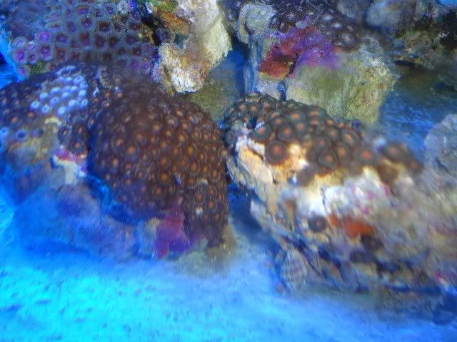 DSC01361.jpg