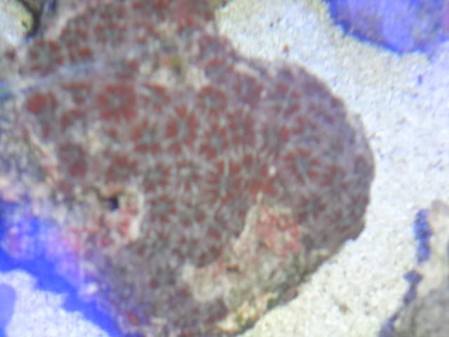DSC01392.jpg