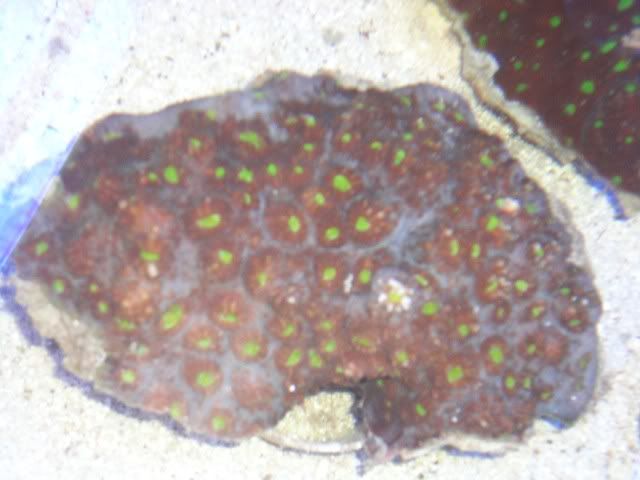 DSC01399.jpg