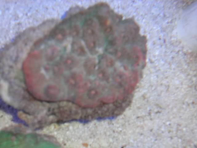 DSC01400.jpg