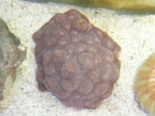 DSC01405.jpg