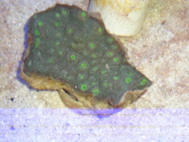 DSC01410.jpg