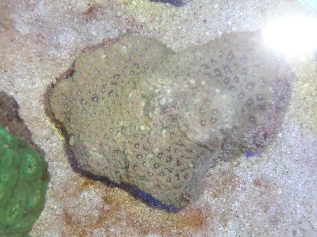 DSC01418.jpg