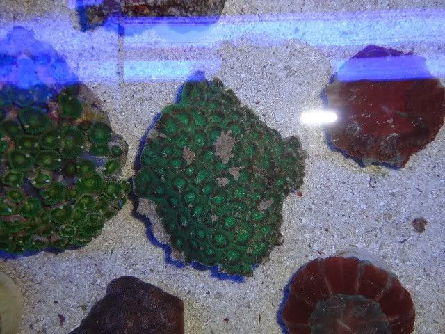 DSC01524.jpg