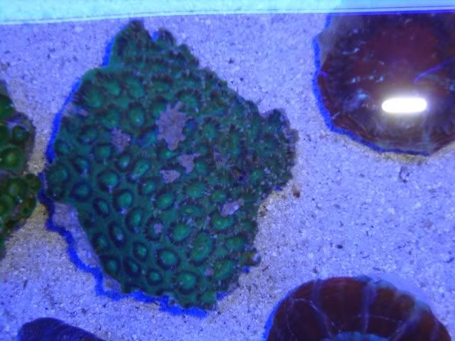 DSC01547.jpg